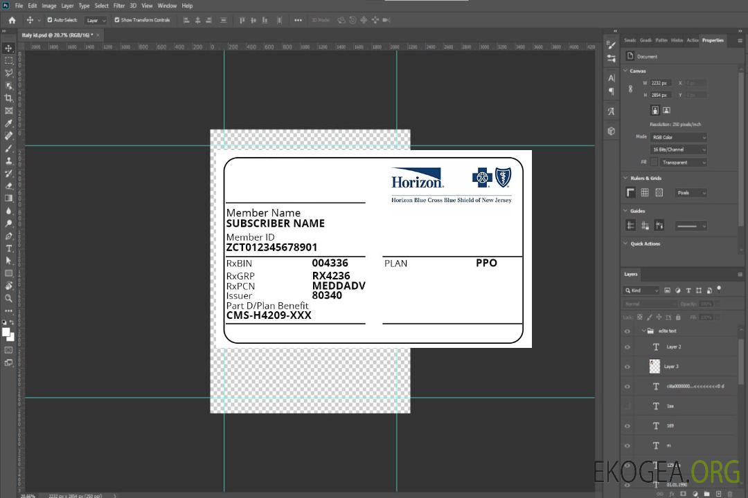 Carte d'assurance maladie du New Jersey template